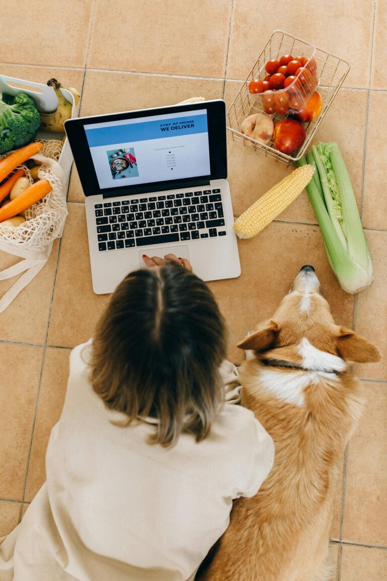 Overhead view of a woman and her corgi browsing online grocery shopping on a laptop.